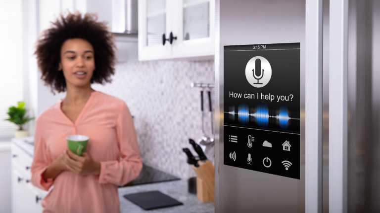 Voice Control Systems