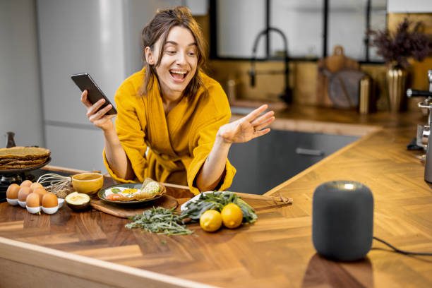 Voice Control Systems