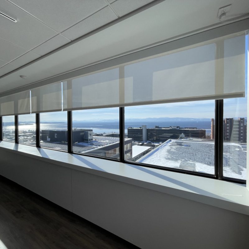 Motorized Window Coverings